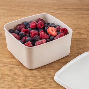 Dóza Frost 0,65 l