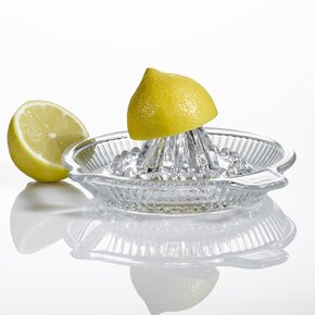 Lis na citrusy